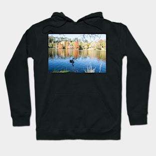 Autumn scenic lake and trees, black swan Hoodie